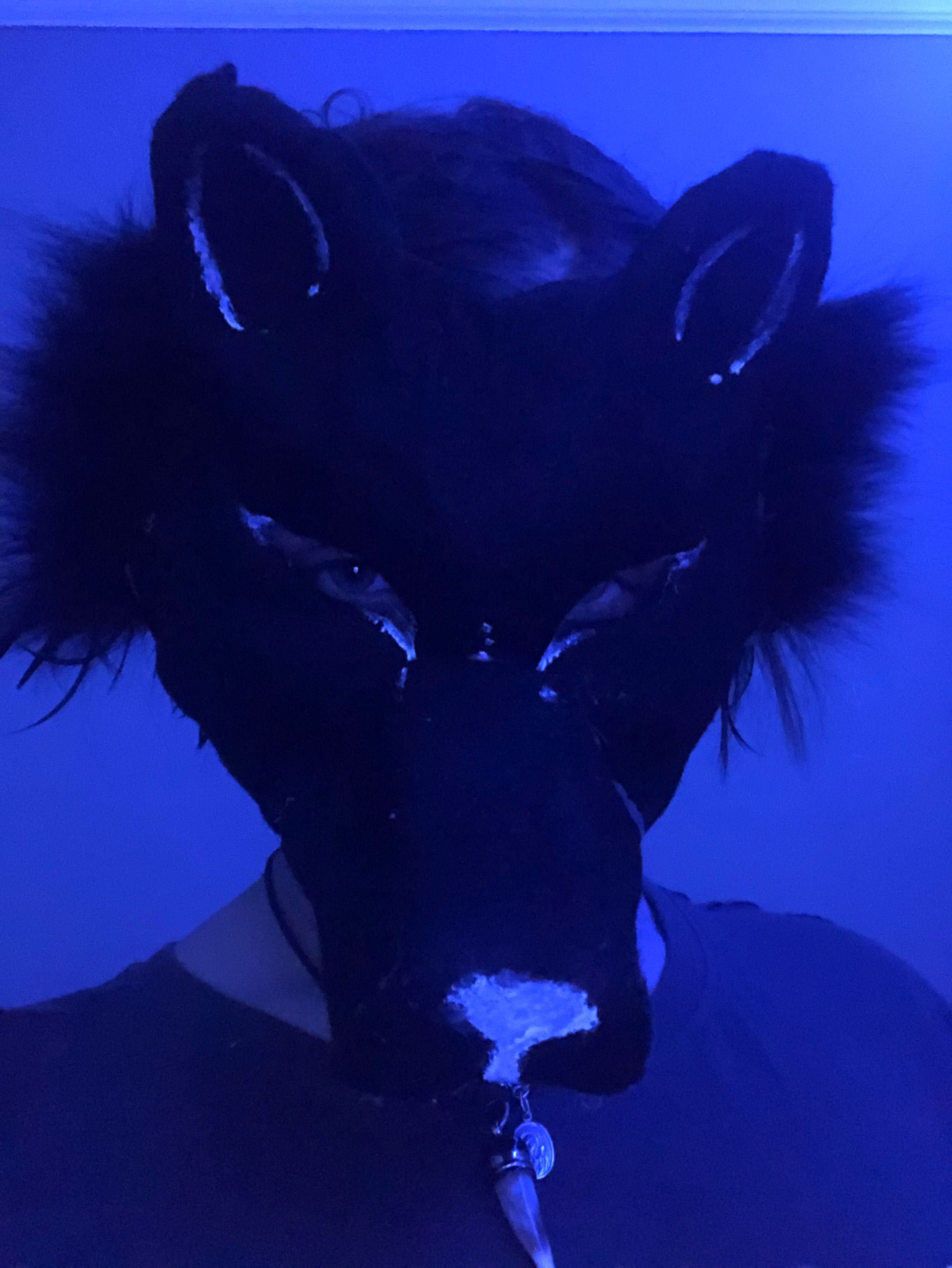 Маски квадробика, маска териан, маска кошки, маска лисы, маска волка