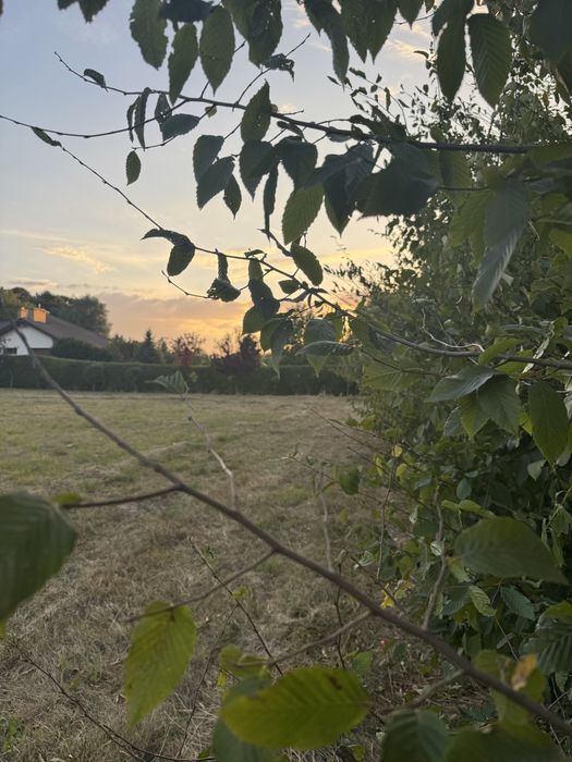 Działka budowlana w Krężnicy Jarej 25 arów.