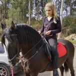 Vendo cavalo muito meigo