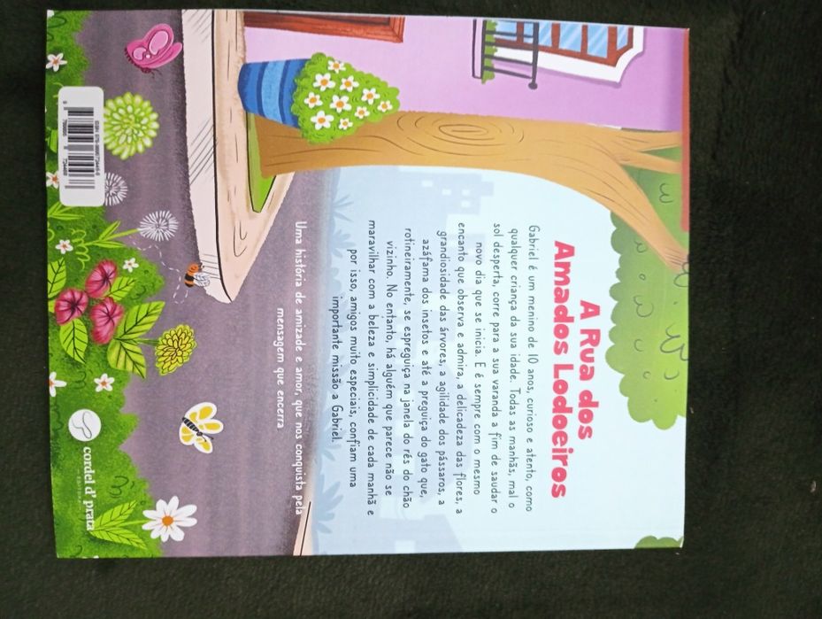 A Rua dos Amados Ladoeiros", de Carla Silva Almeida, 	NOVO