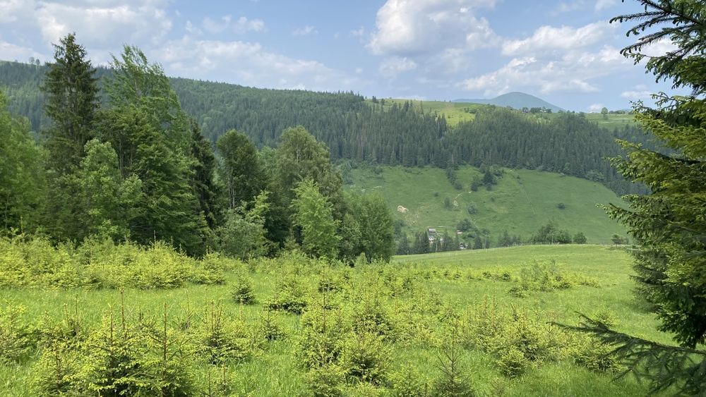 Межує з лісом, під будову і класним видом
