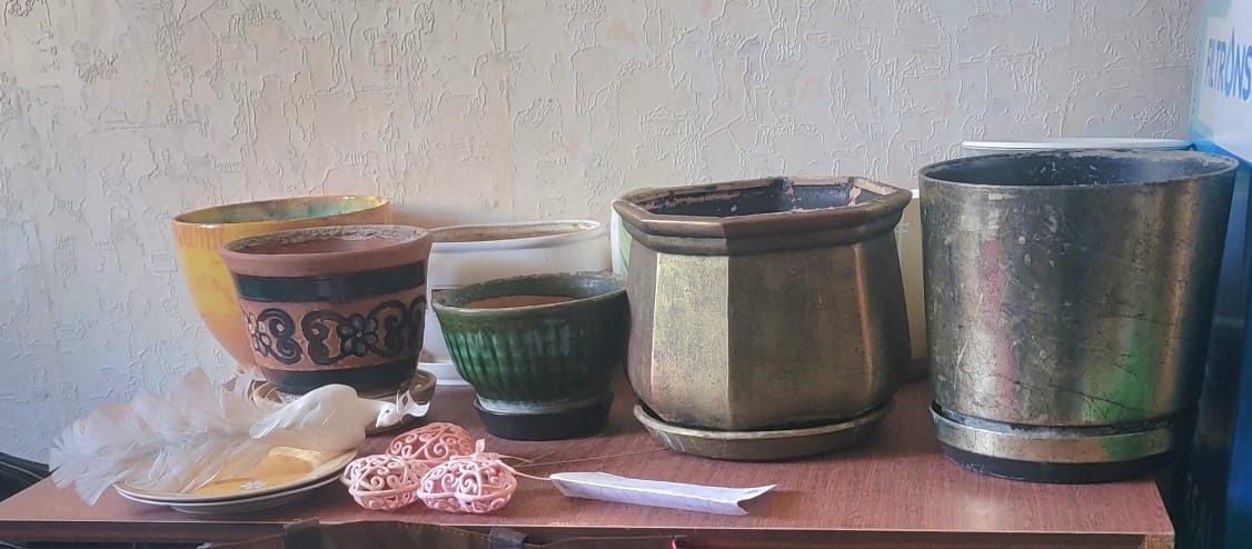 Продаются фикус,кактусы, подставка для цветов