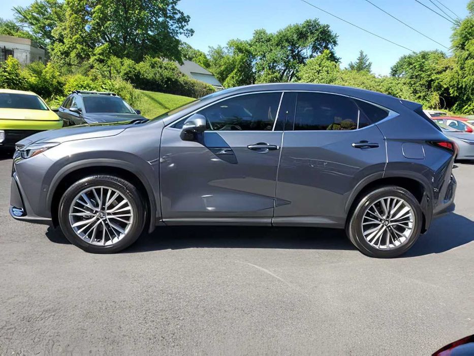 Lexus NX      2024