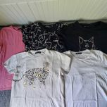 Zestaw 5 tshirtów, roz s/168
