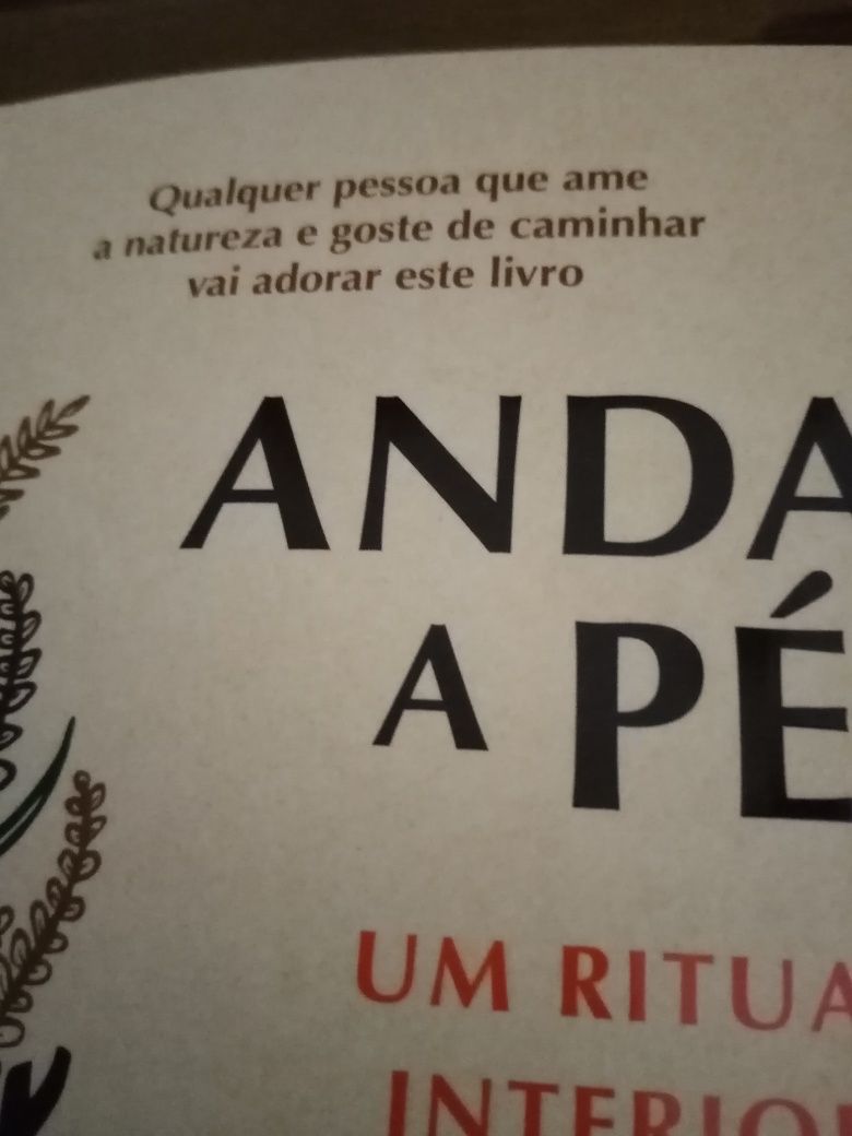 Livro Andar a pé