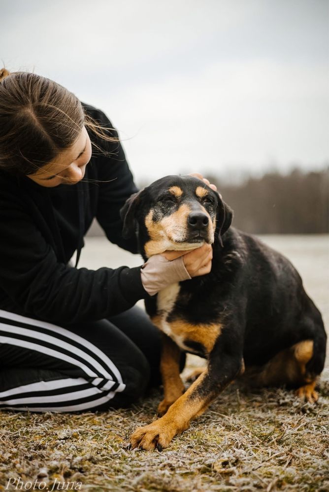 Kora-suczka która nigdy nie miala domu bardzo o niego prosi-adoptuj