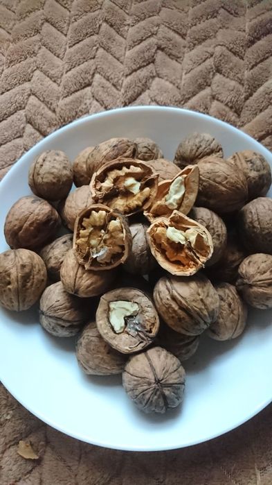 Грецький горіх 2025