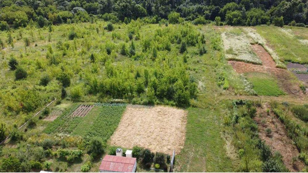 Васильківський рн, с. Рославичі, 0.25 га (600$/100m2)