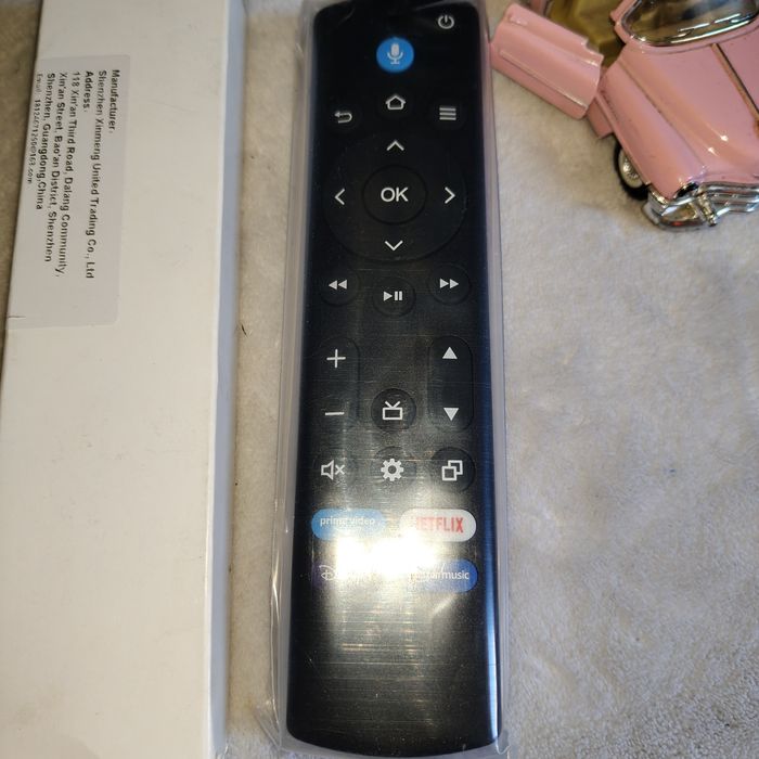 Pilot z funkcją głosową