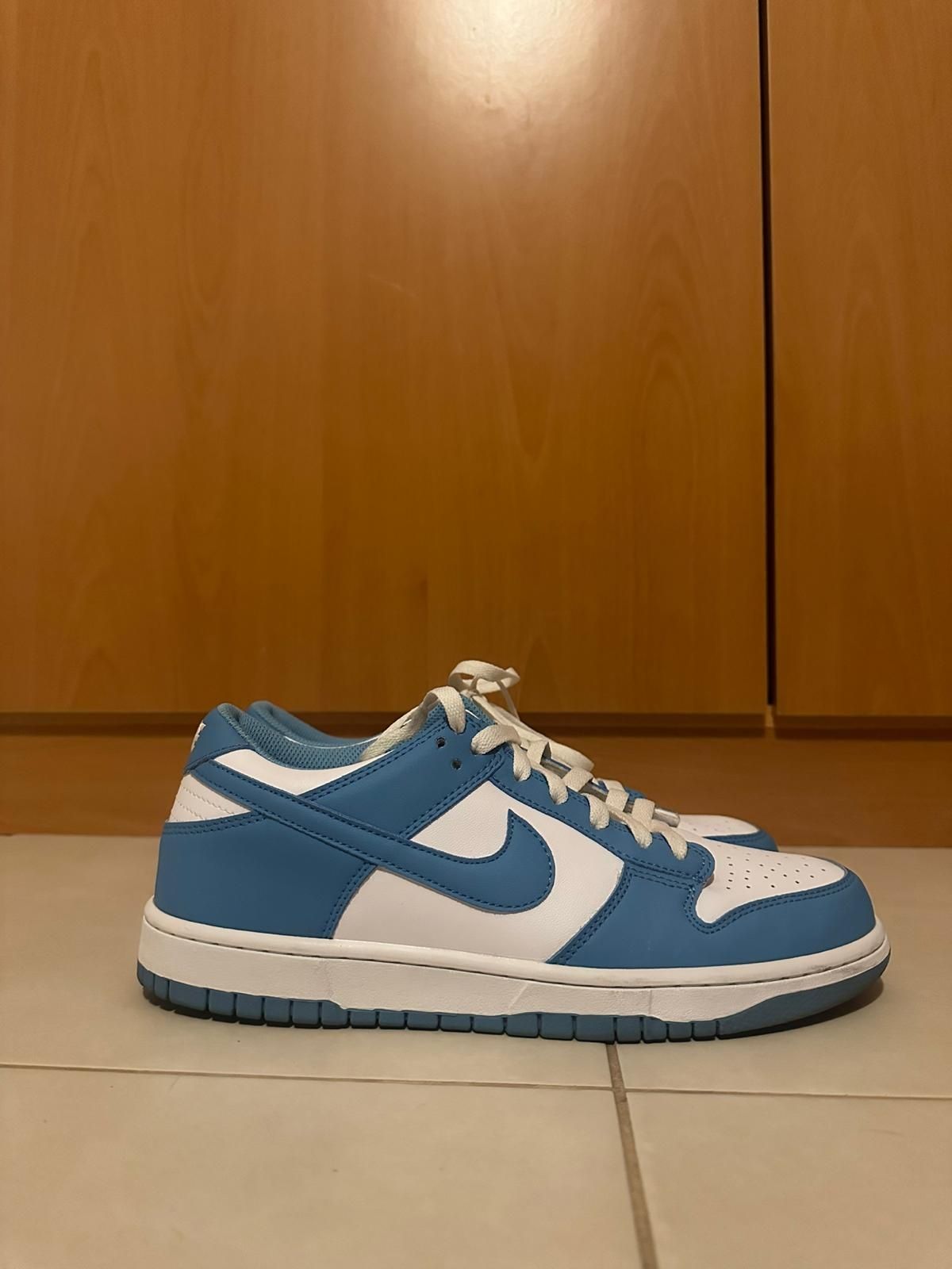 Nike dunks low blue