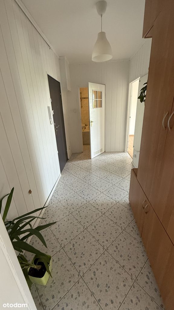 Stare Gliwice 48 m2 - dostępne od zaraz