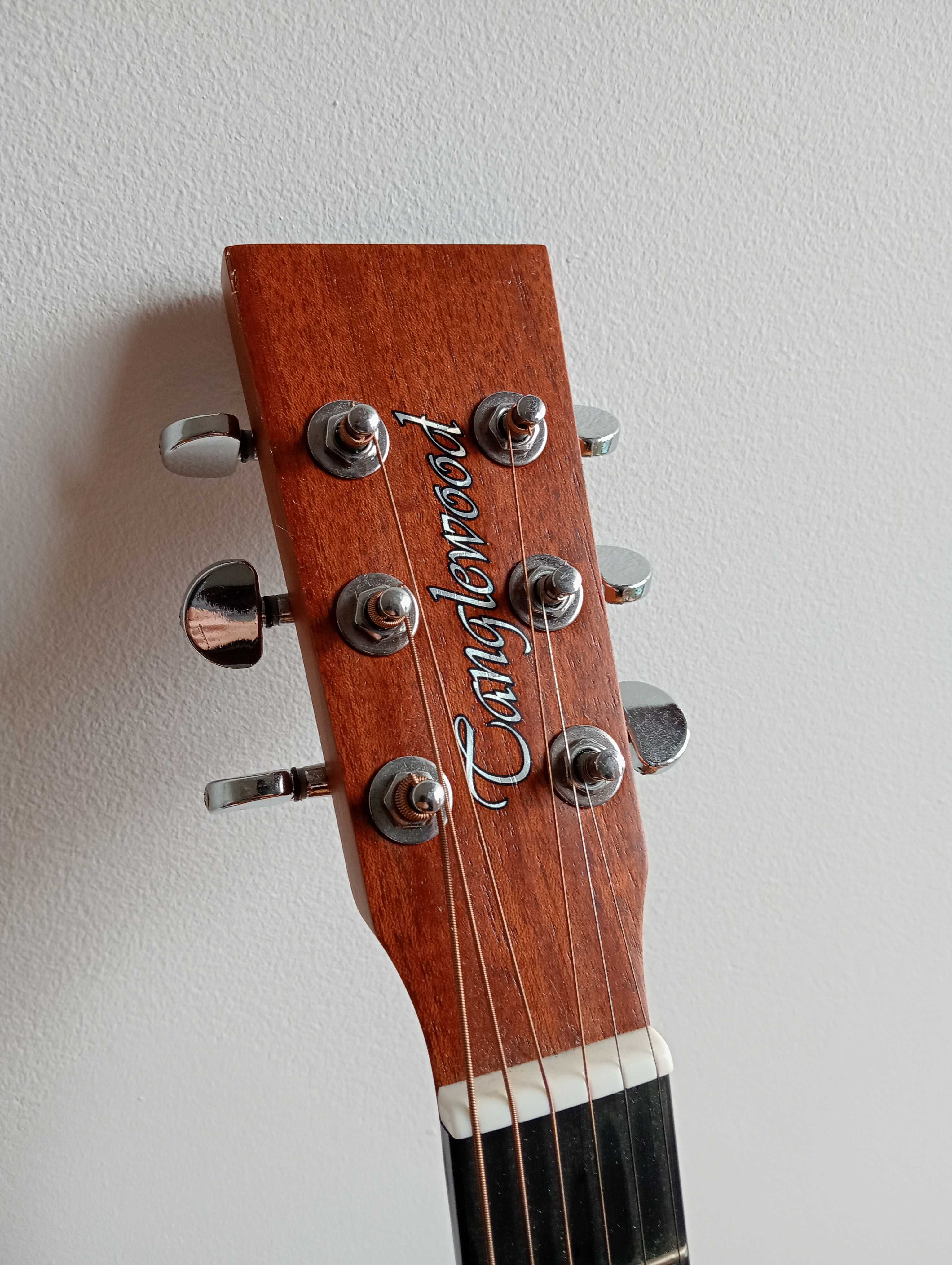 Guitarra eletroacústica