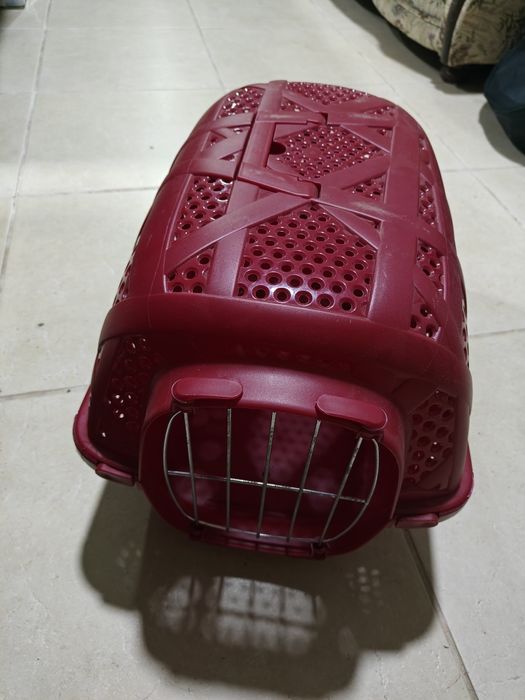 transportador para animais de estimação