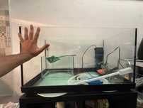 Vendo Aquario para peixes