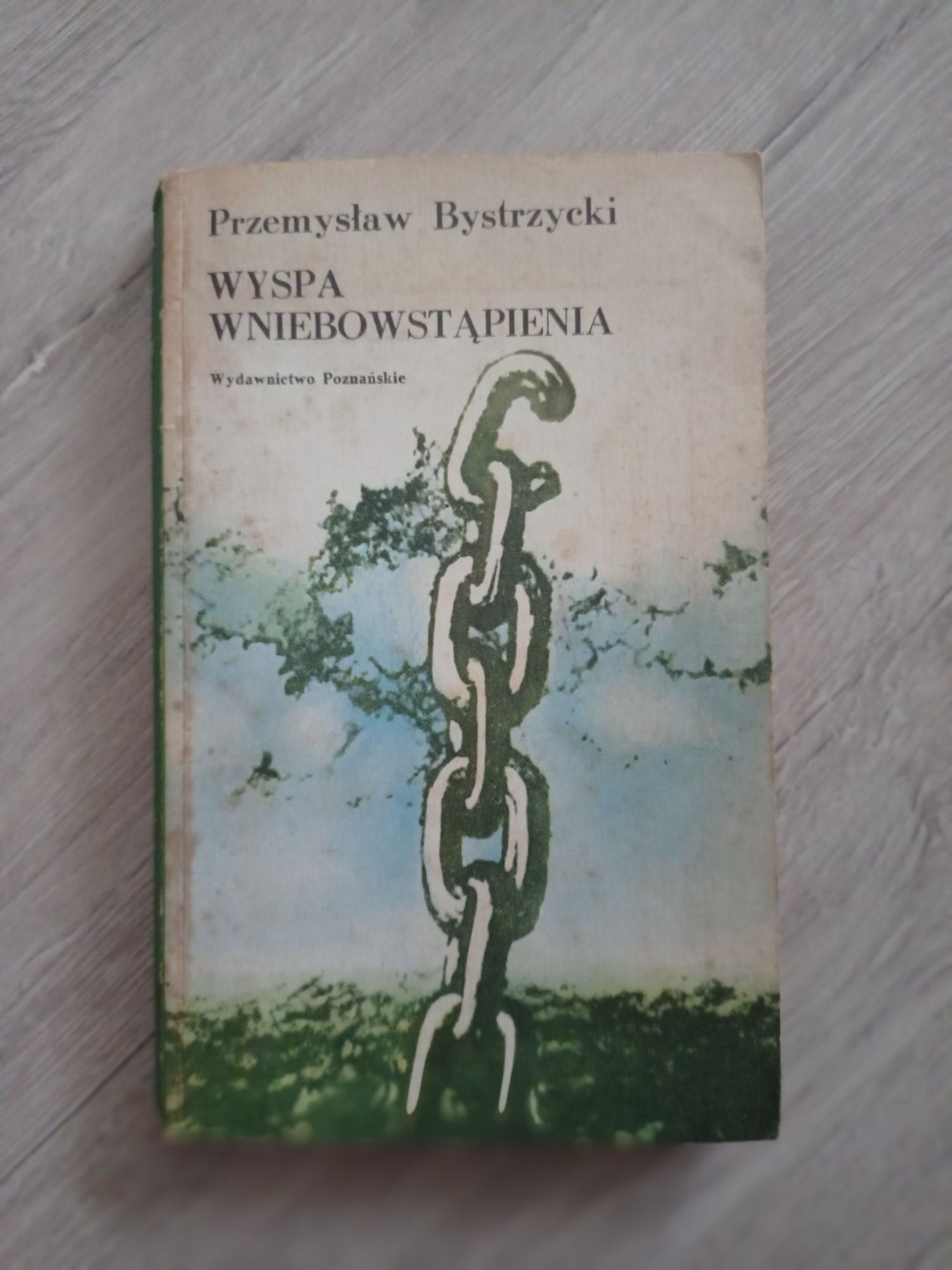 Wyspa Wniebowstąpienia. Przemysław Bystrzycki