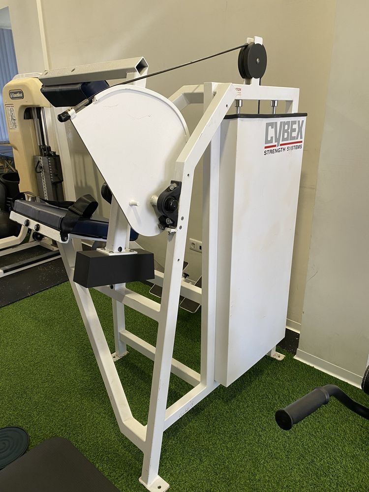 Cybex Classic Lombar