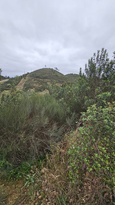 Terreno em Mação