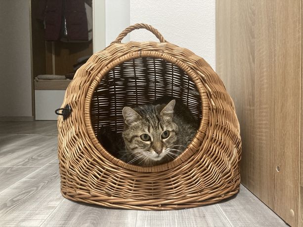 Переноска будиночок корзинка для кота