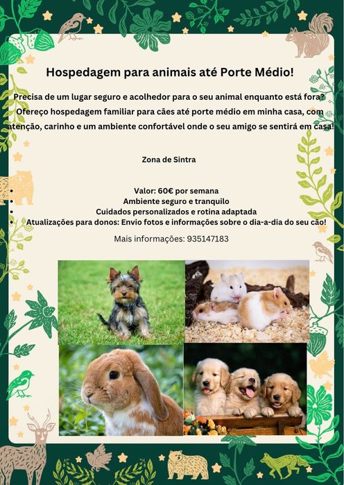 Hospedagem para animais