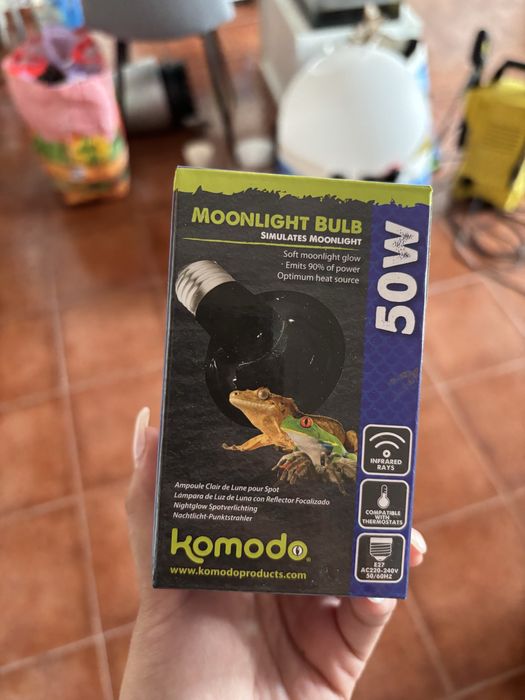 Terrario Exoterra Medium Low