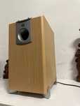 Aktywny subwoofer JBL SUB 178 , 100 Wat!
