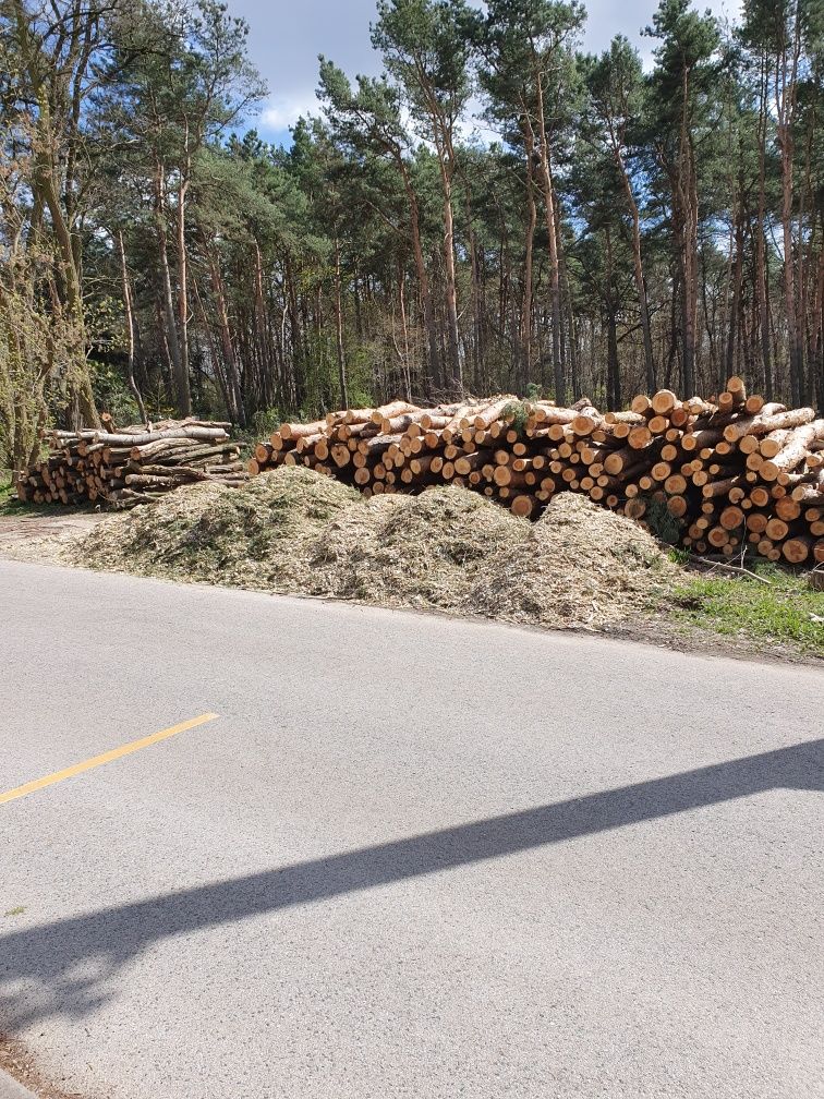 Wycinka zrębkowanie pielęgnacja drzew czyszczenie działek karczowanie