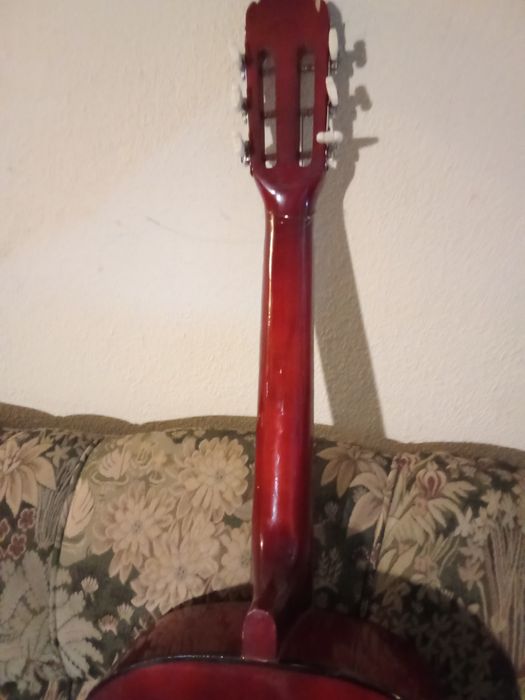 Viola seis cordas
