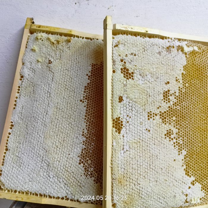 Sprzedam miód od szczęśliwych pszczółek