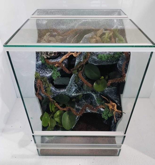 Terrarium dla jaszczurki gekona orzęsionego wodospadem AquaWaves TW60W