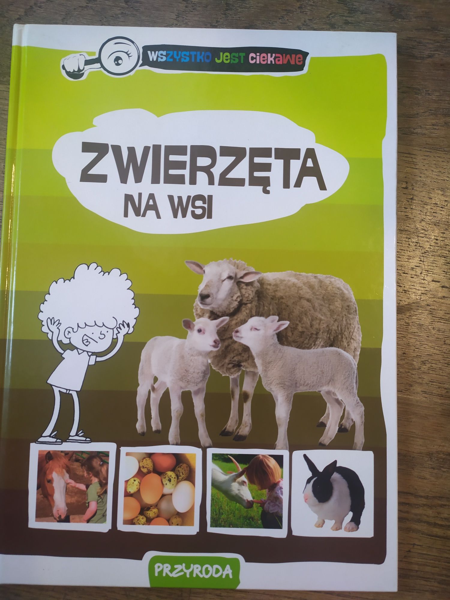 Książka Zwierzęta na wsi