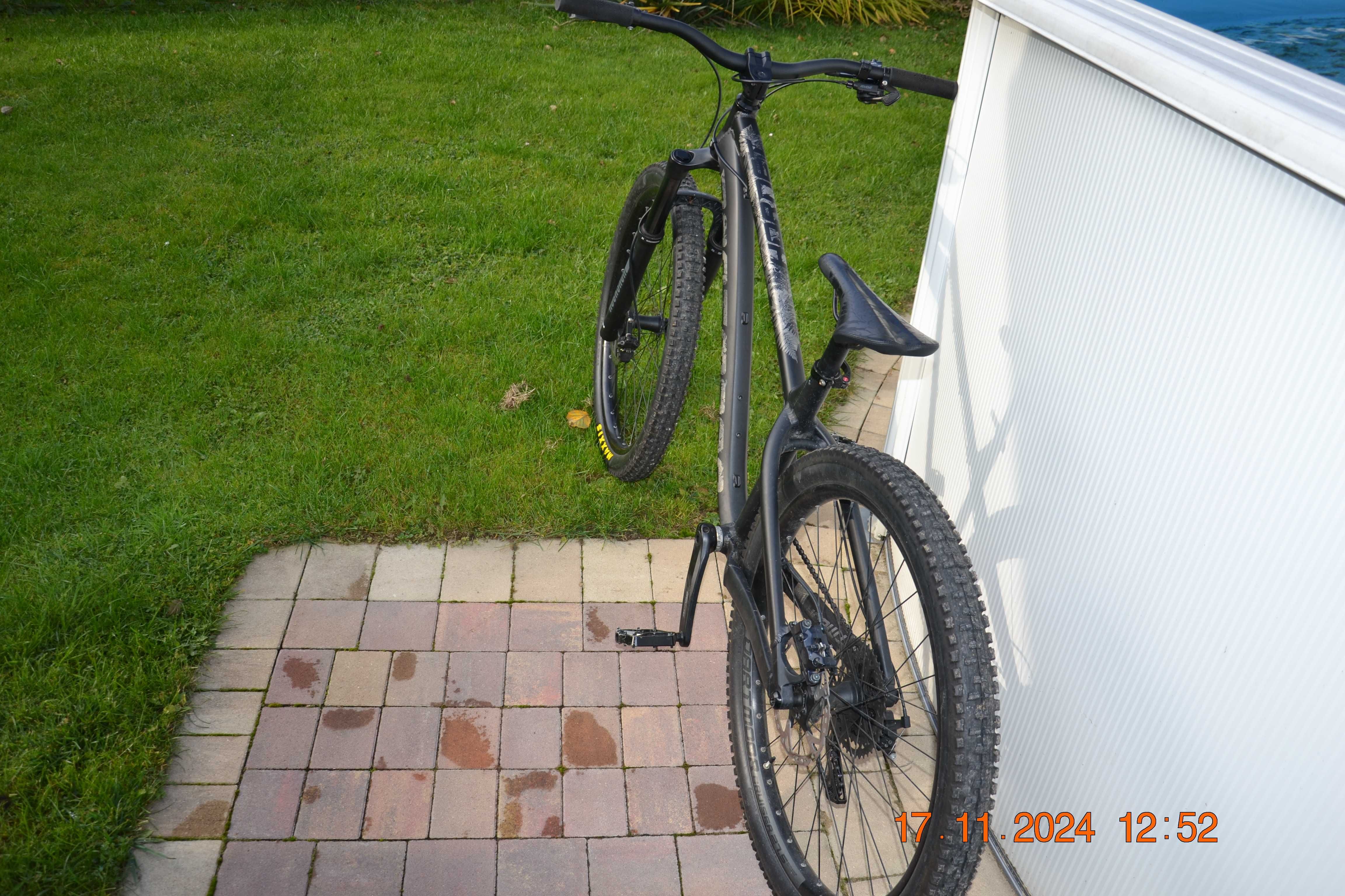 dartmoor hornet 2022 M
