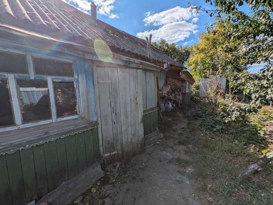 Будинок з садком, городом та земельною ділянкою біля Ніжина