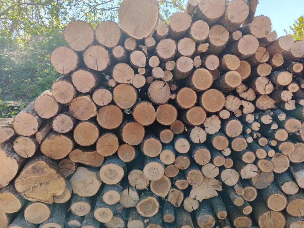 Продам дрова метровки