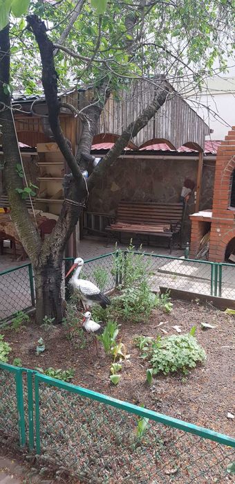 (13) Продам будинок в Сухому Лимані