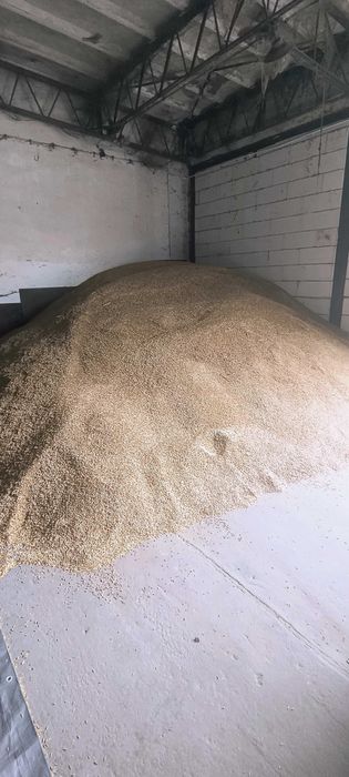 Owies dla zwierząt, do palenia