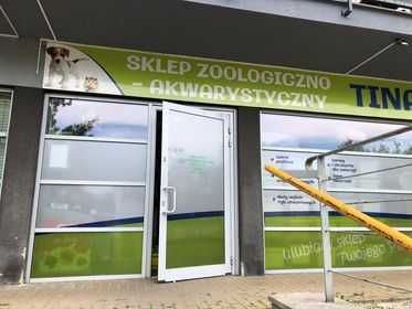 Kirys Barbatus - Tina Zoo Jasna Gliwice