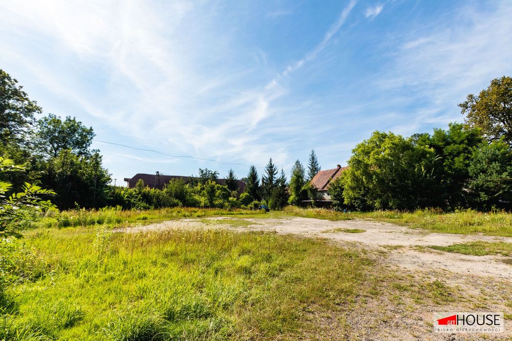 Baza dla Twojej firmy - Tomaszów Bolesławiecki.