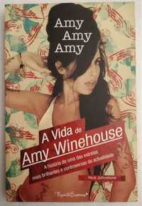 A Vida de Amy Winehouse - Nick Johnstone