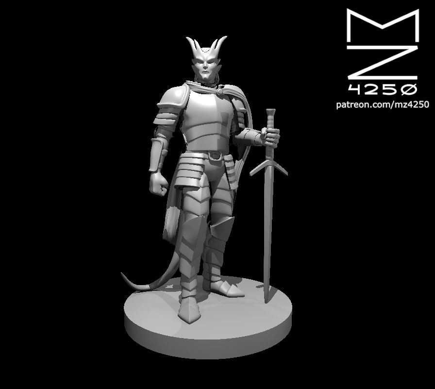 Miniaturas Aventureiros RPG Impressos em 3D - Classe: Paladin/Paladino