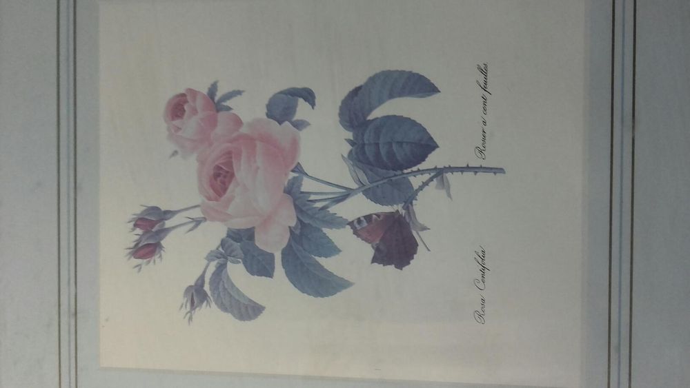 gravuras: tríptico com flores