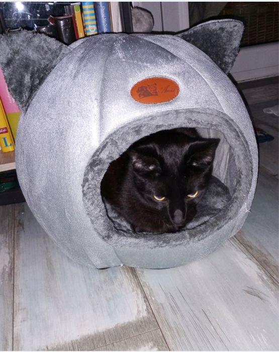 Miękkie legowisko dla pupila – idealne miejsce do snu i odpoczynku