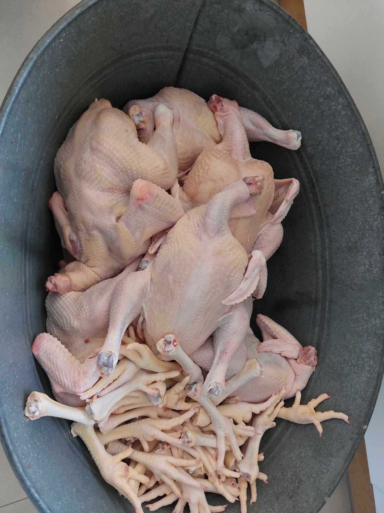 Kurczaki Brojlery wiejskie nie ( kury jaja perlice kroliki kaczki )