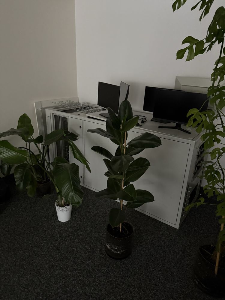 Szafa RACK serwerowa teleinformatyczna