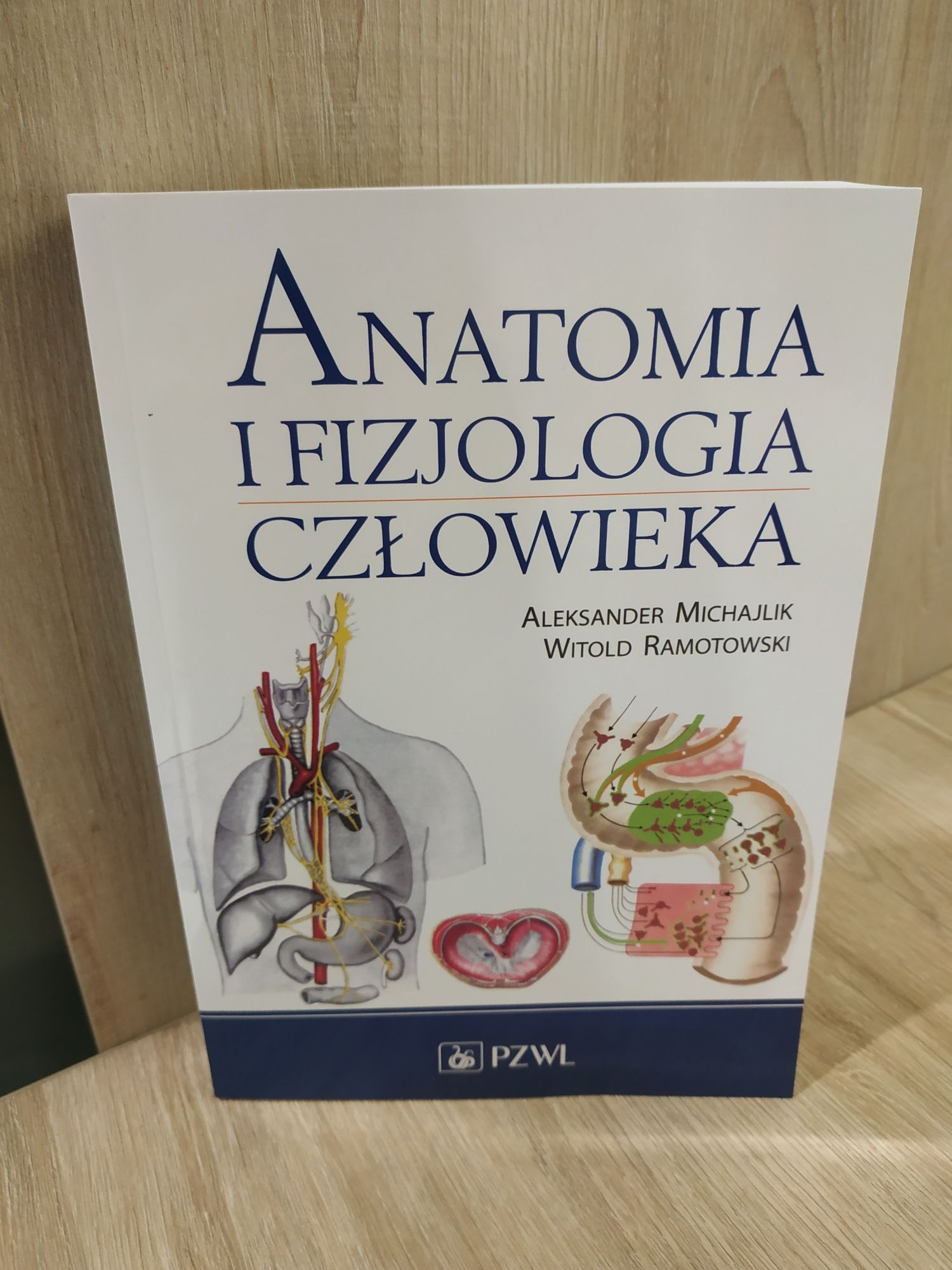 Anatomia i fizjologia człowieka
Anatomia i fizjologia człowieka
Anatom