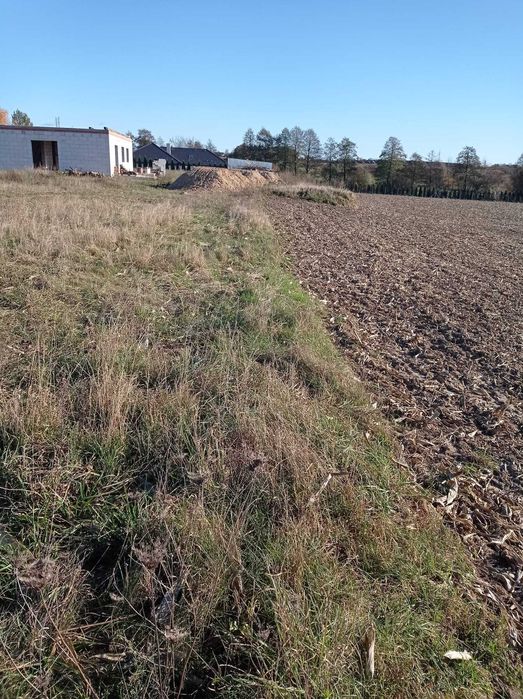 Okazja cenowa! Działka 12,5 ara - Moczadła k. Brodnicy