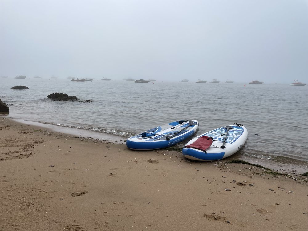 Stend up paddle aluguer