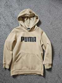 Bluza dziecięca puma