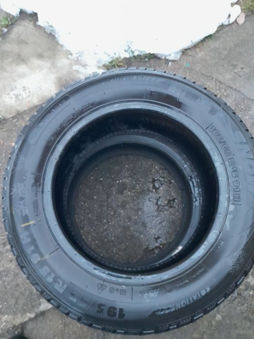 Kormoran 2sztuki. zimowe