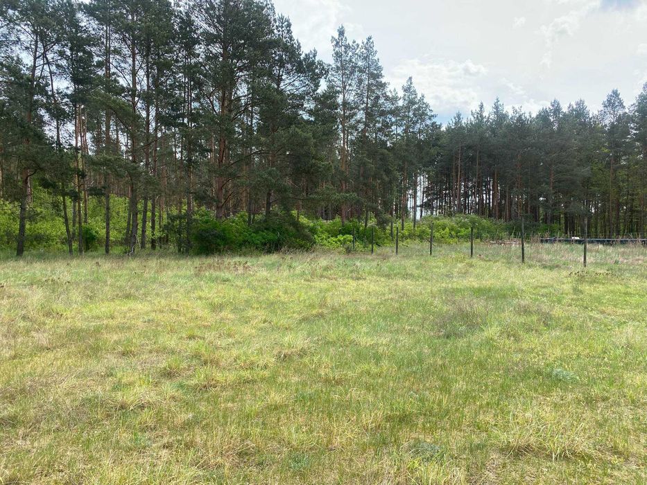 Działki w Zaciszu z warunkiem zabudowy ! Szkocja pod Bydgoszczą