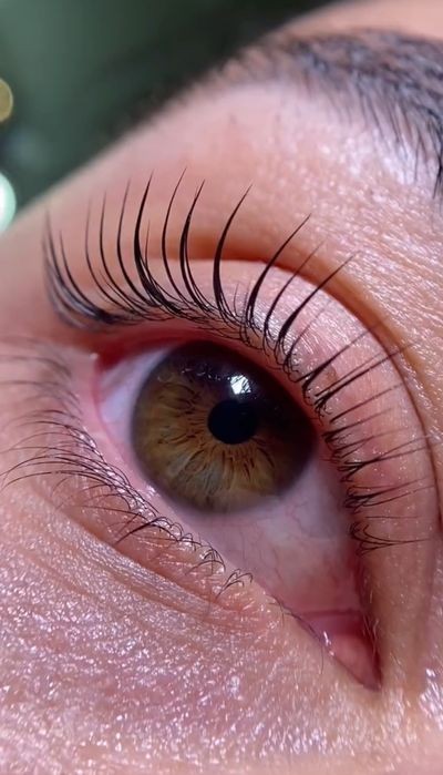 Ламінування вій та брів